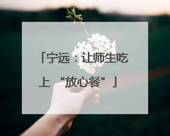 宁远：让师生吃上 “放心餐”